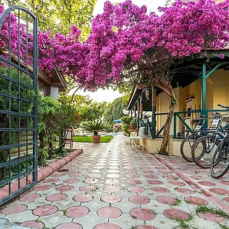 Dedeminn Garden غوجيك